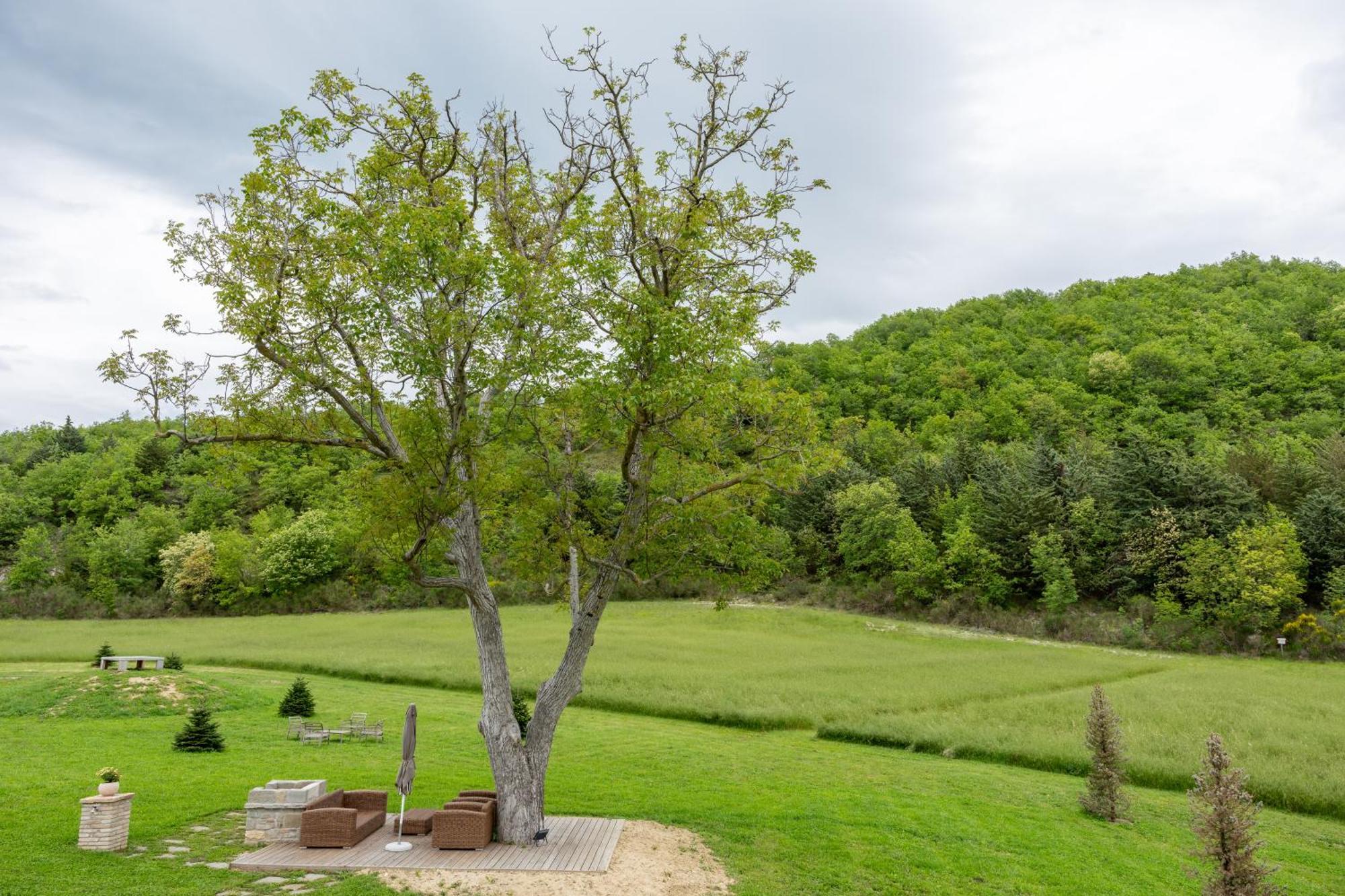 Aura Relais Hotell Urbino Eksteriør bilde